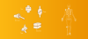 six main joint types